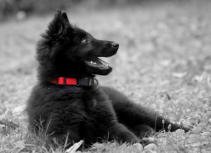 Je commence à surveiller