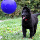Un futur jouer de ballon