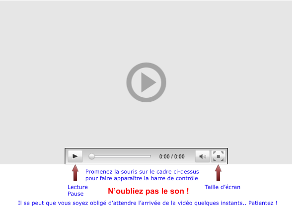 Lecture Pause Promenez la souris sur le cadre ci-dessus pour faire apparaître la barre de contrôle Taille d’écran Il se peut que vous soyez obligé d’attendre l’arrivée de la vidéo quelques instants.. Patientez ! N’oubliez pas le son !