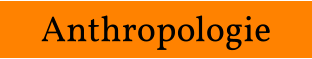Anthropologie