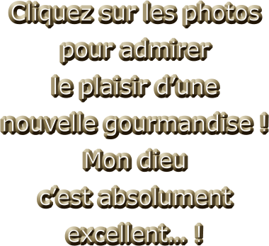 Cliquez sur les photos pour admirer le plaisir d’une  nouvelle gourmandise ! Mon dieu c’est absolument excellent… !