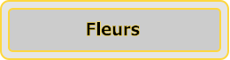 Fleurs